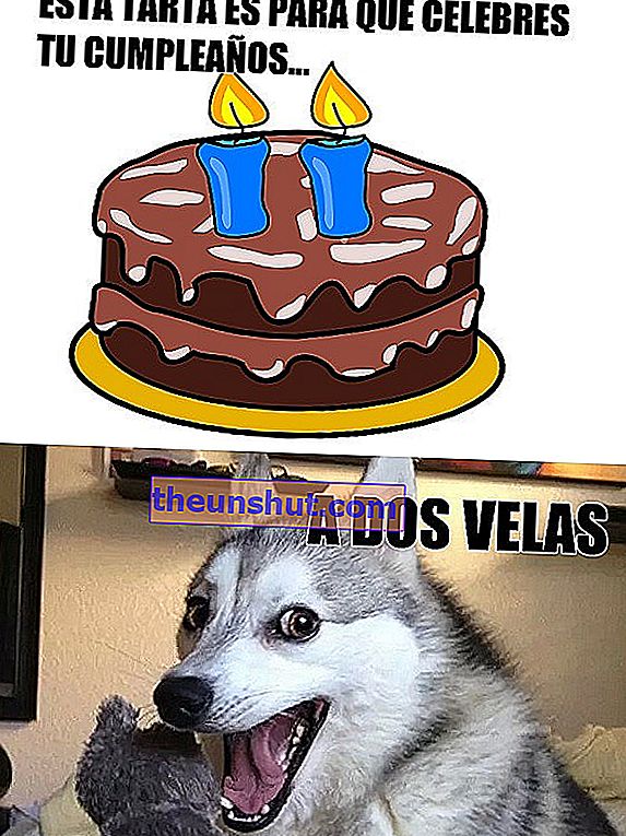 meme di compleanno del cane