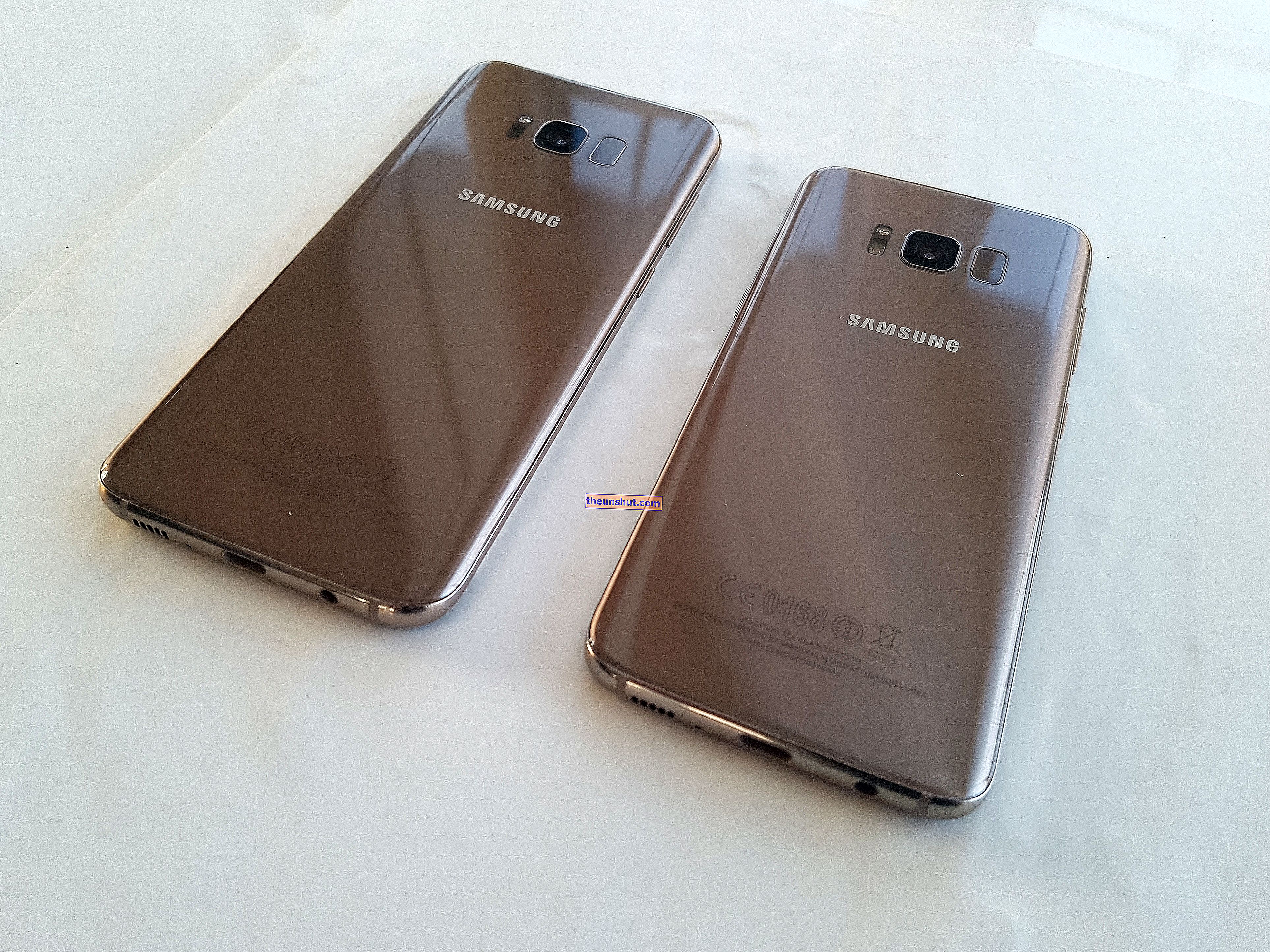 Galaxy S8, S8 + vzadu
