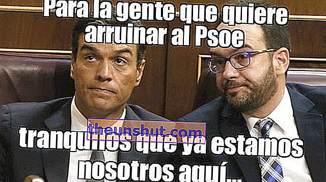 Memy PSOE