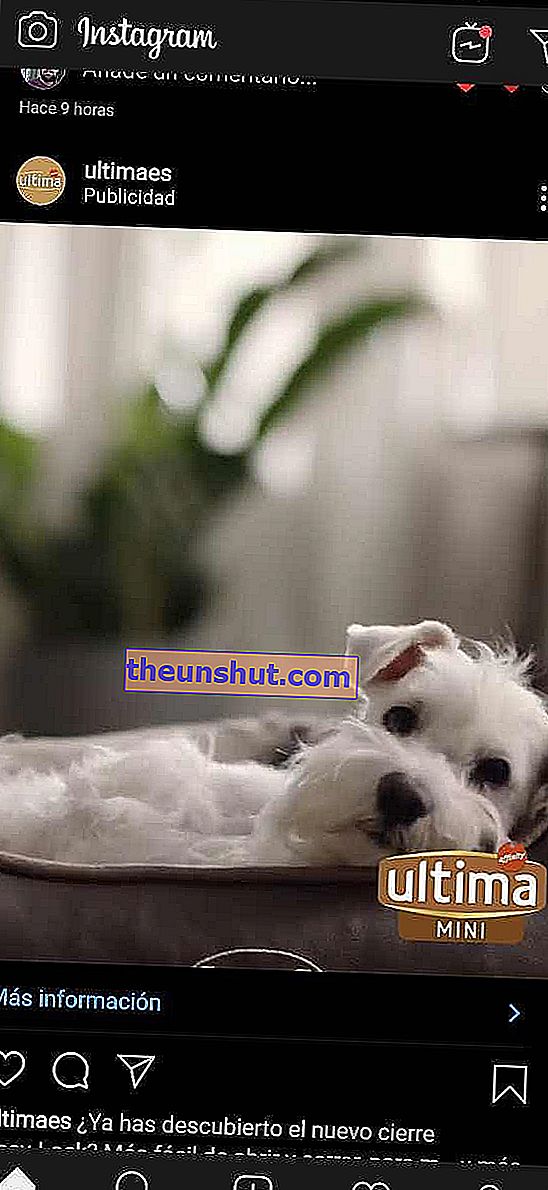 pubblicità instagram cibo per cani