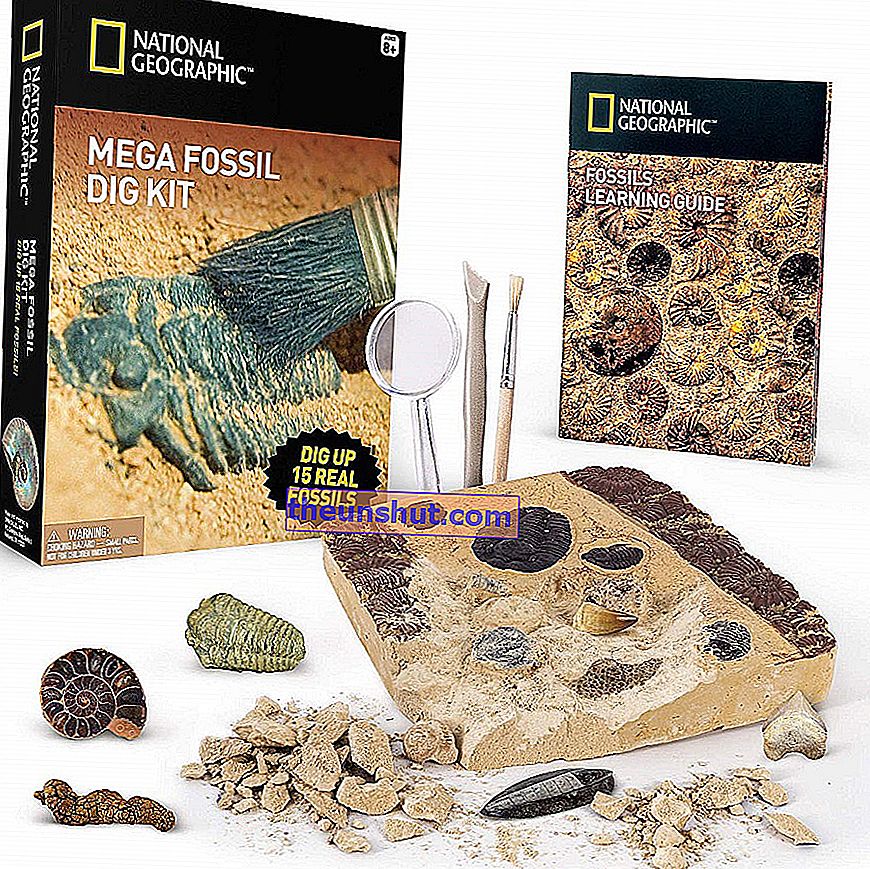 National Geographic Real Fossil Site Kit