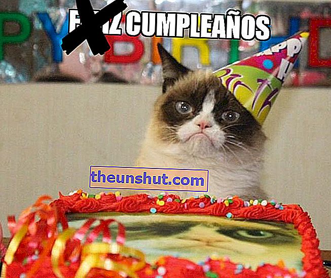 Grumpy Cat meme compleanno compleanno Whatsapp