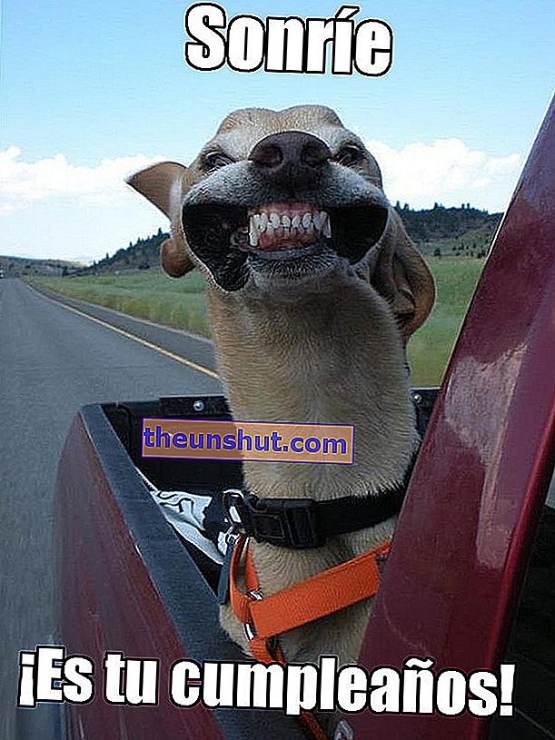 Smil er bursdagen din meme Hundesmile sin bursdag