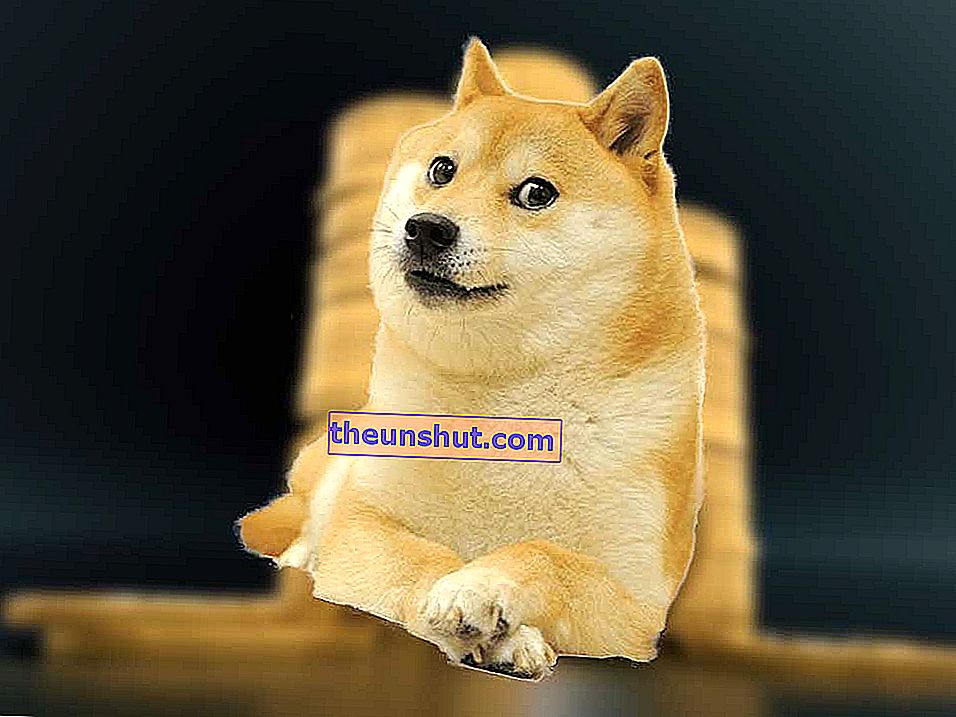 Dogecoin, криптовалюта, яка хоче конкурувати з біткойнами