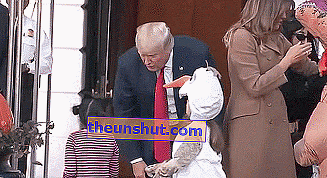 GIF di Donald Trump fallita - Trova e condividi su GIPHY