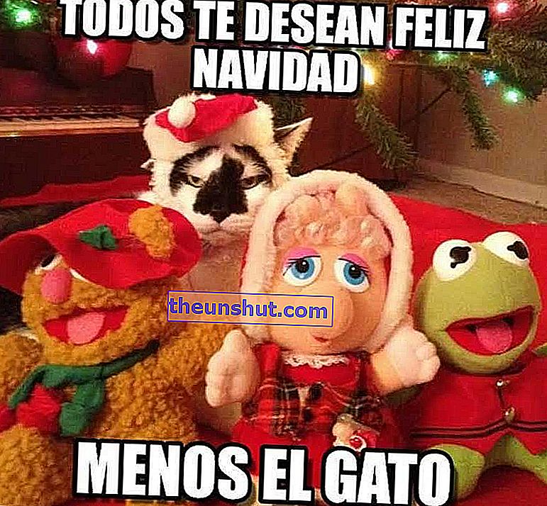 vtipné memy a súbory GIF na oslavu Vianoc s priateľmi a rodinnou mačkou
