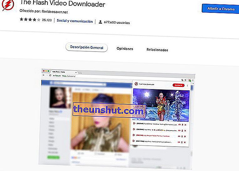 A Flash Video Downloader