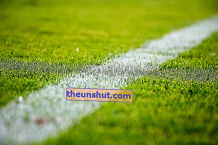 футболна трева (1)
